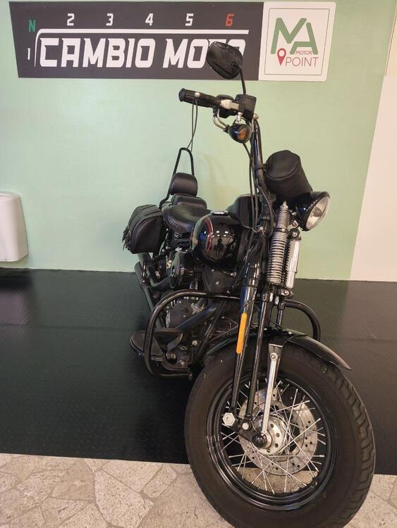 Harley-Davidson 1584 Cross Bones (2008 - 11) - FLSTSB (3)