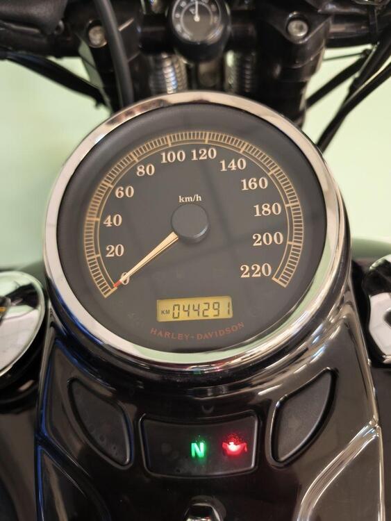 Harley-Davidson 1584 Cross Bones (2008 - 11) - FLSTSB (5)