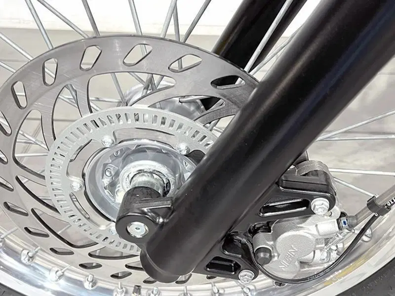 Betamotor Alp 4.0 (2024 - 26) (5)