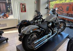 Harley-Davidson Softail Standard (2020) - FXST nuova