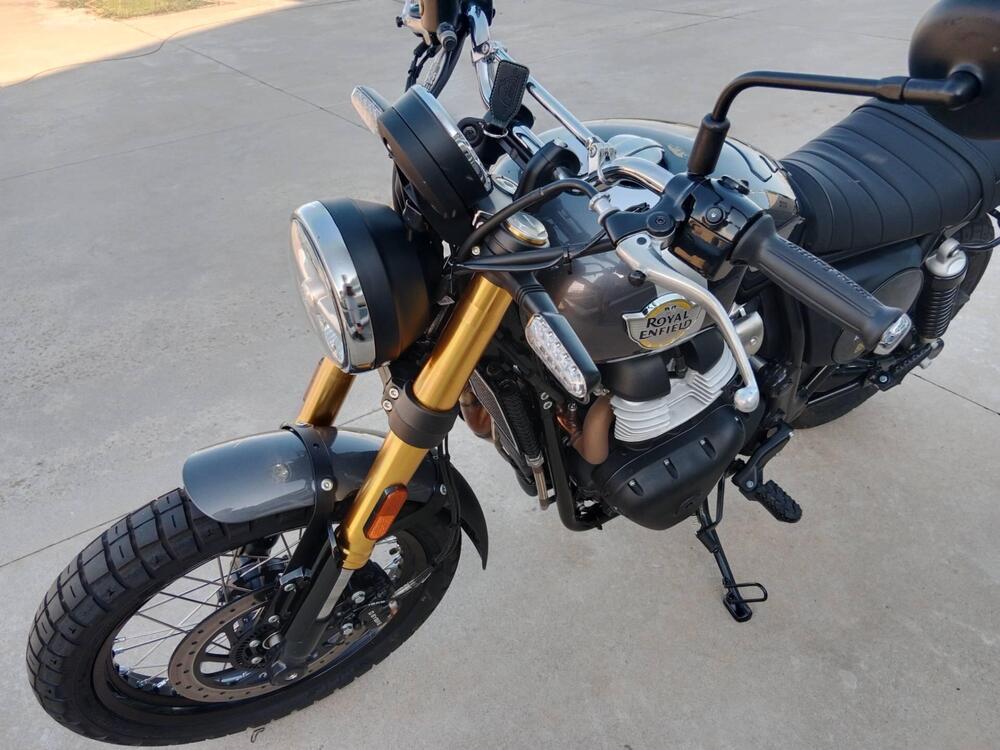 Royal Enfield Bear 650 (2025) (3)