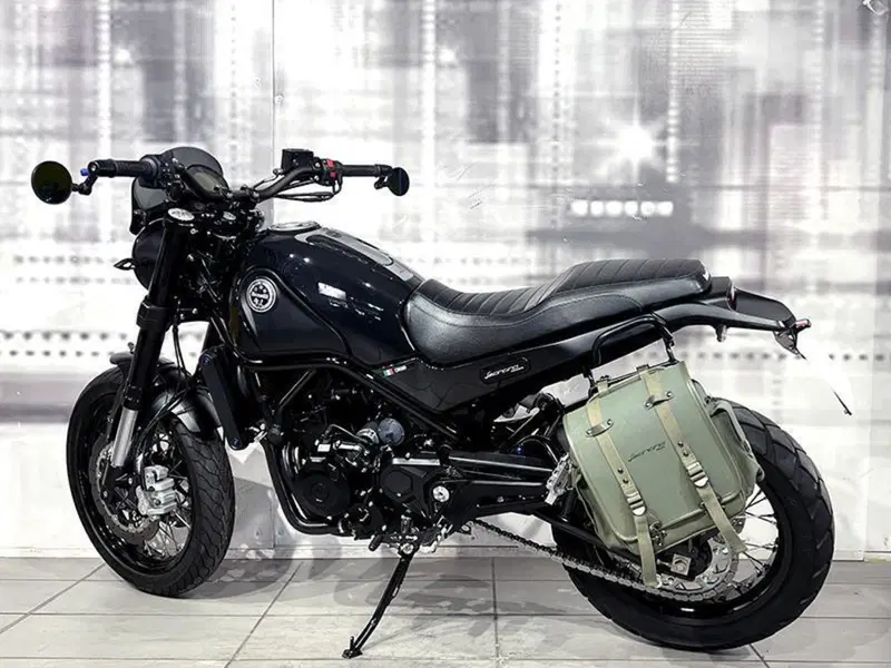 Benelli Leoncino 500 ABS (2017 - 20) (2)