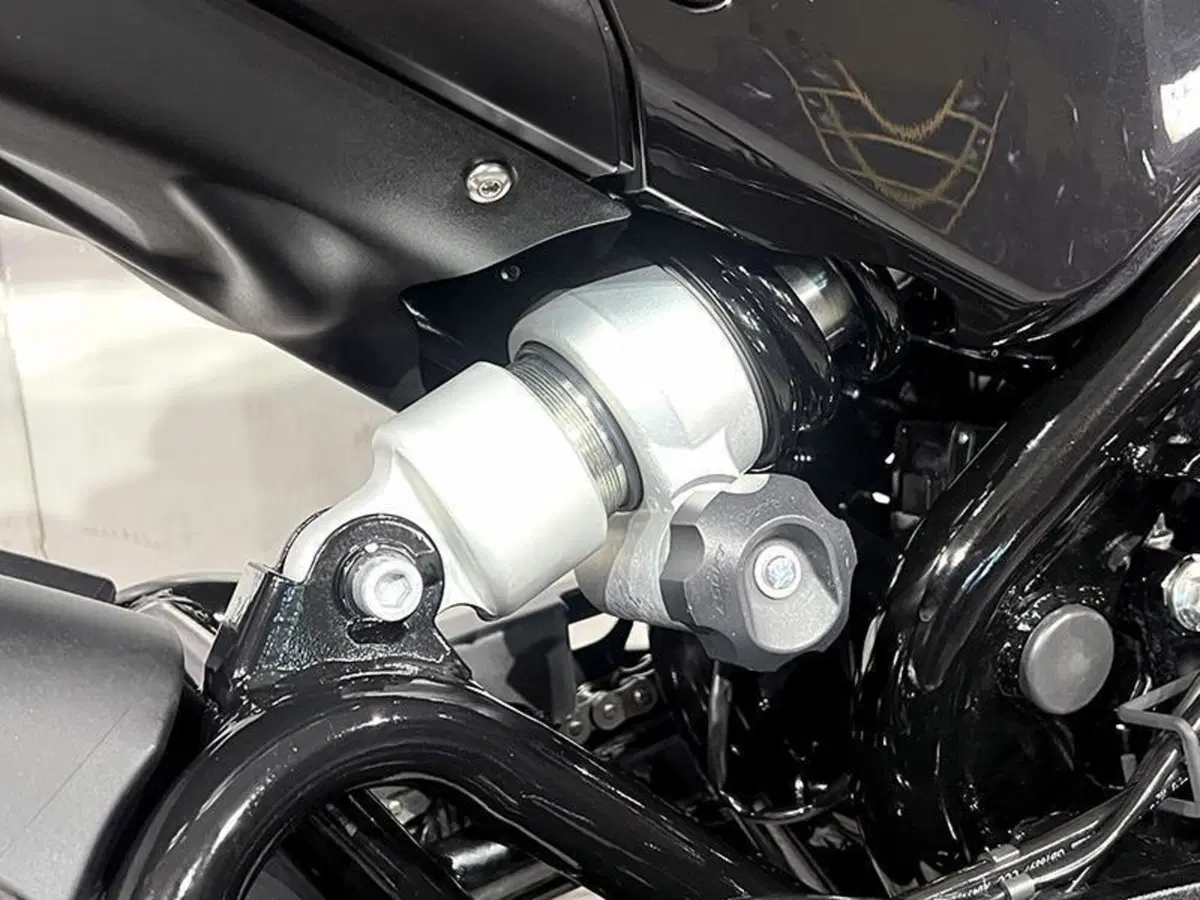 Benelli Leoncino 500 ABS (2017 - 20) (4)