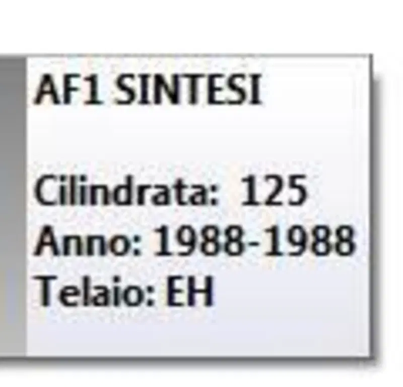 portatarga con indicatori AF1 SINTESI Aprilia (6)