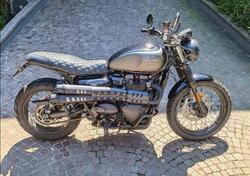 Triumph Street Scrambler 900 (2021 - 22) usata