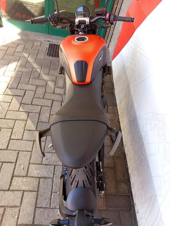 Triumph Trident 660 (2021 - 24) (3)