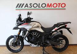 Morbidelli T1002VX (2024 - 25) usata