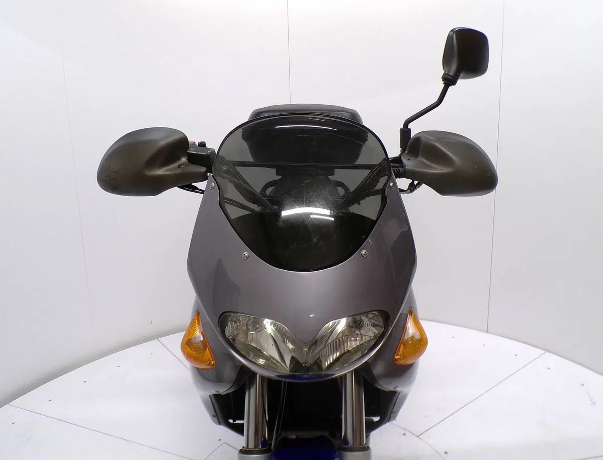 Aprilia Pegaso 650 IE (2001 - 02) (7)