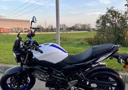 Suzuki SV 650 (2016 - 20) usata