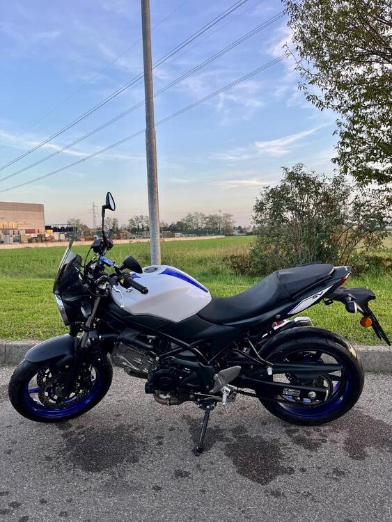 Suzuki SV 650 (2016 - 20) (4)