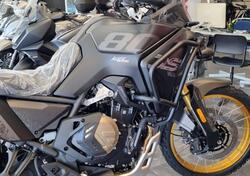 Voge Valico 800DSX Rally (2025) nuova