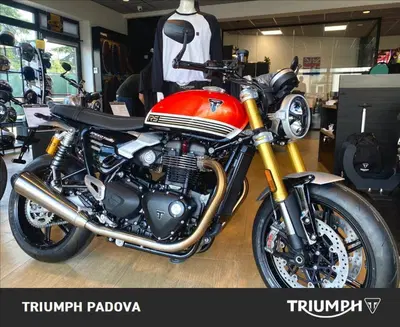 Triumph Speed Twin 1200 RS (2025 - 26) nuova