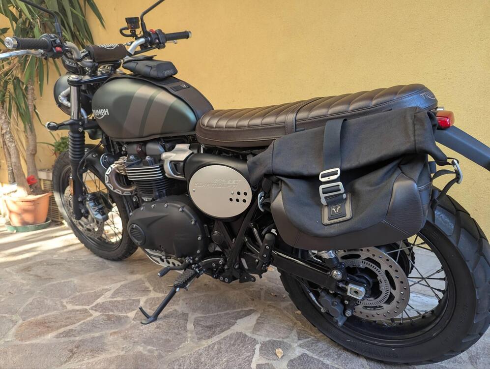 Triumph Street Scrambler 900 (2021 - 22) (5)