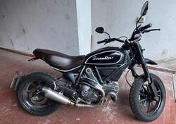 Ducati Scrambler 800 Classic (2015 - 16) usata