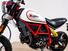 Ducati Scrambler 800 Desert Sled (2017 - 20) (9)
