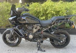 Harley-Davidson Pan America 1250 Special (2020 - 25) usata