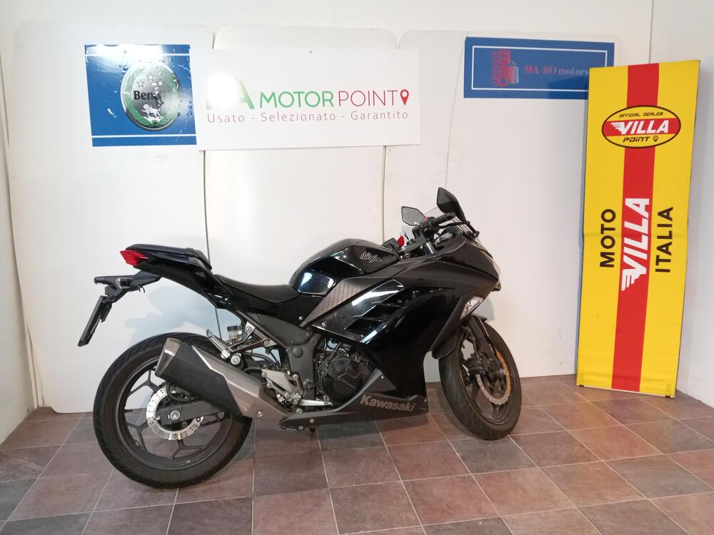 Kawasaki Ninja 300 (2012 - 14) (2)