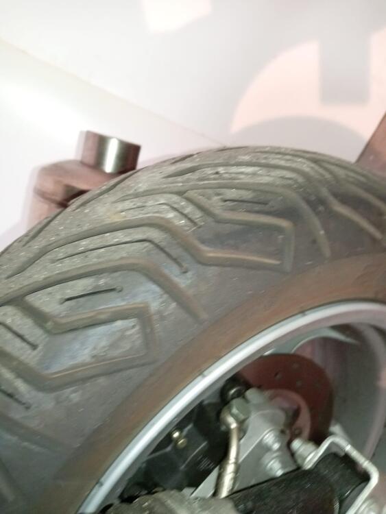 Aprilia Scarabeo 500 (2007 - 12) (5)