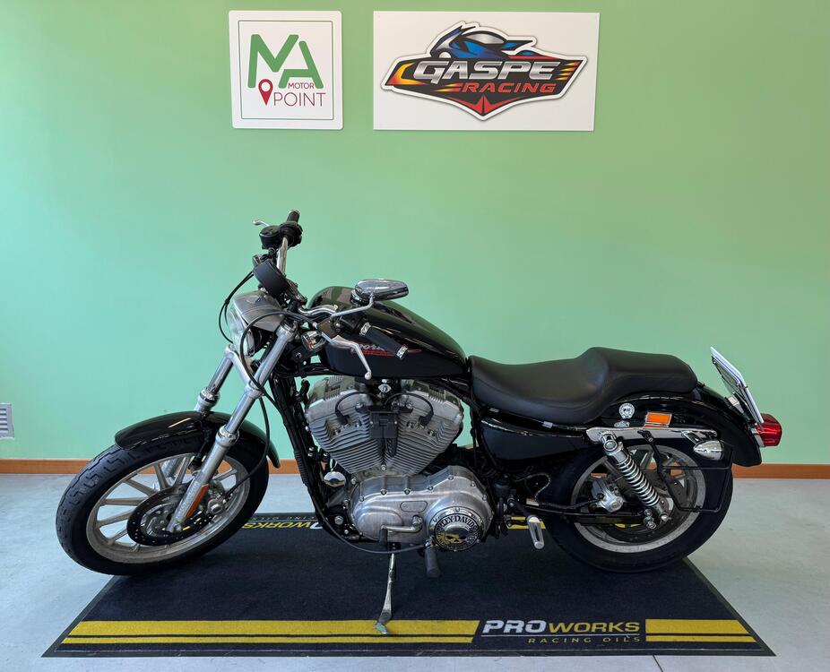 Harley-Davidson 883 Standard (2001 - 05) - XL 883 (2)