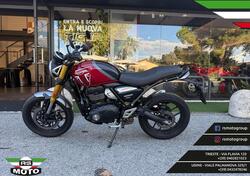 Triumph Speed 400 (2024 - 25) usata