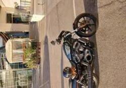 Harley-Davidson Nightster Special (2023 - 25) usata