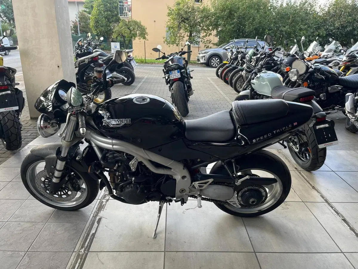 Triumph Speed Triple 955 (2002 - 04) (8)