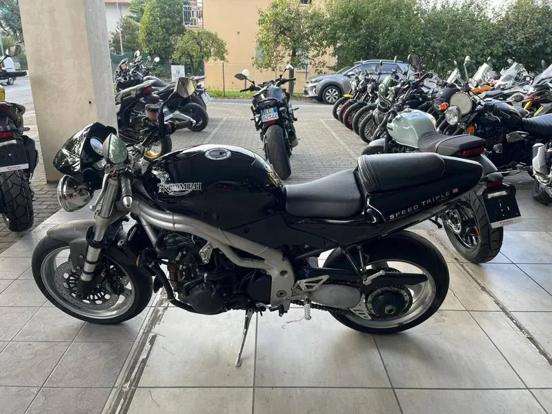 Triumph Speed Triple 955 (2002 - 04) (8)