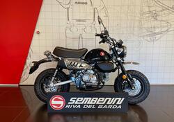 Honda Monkey 125 (2025) nuova