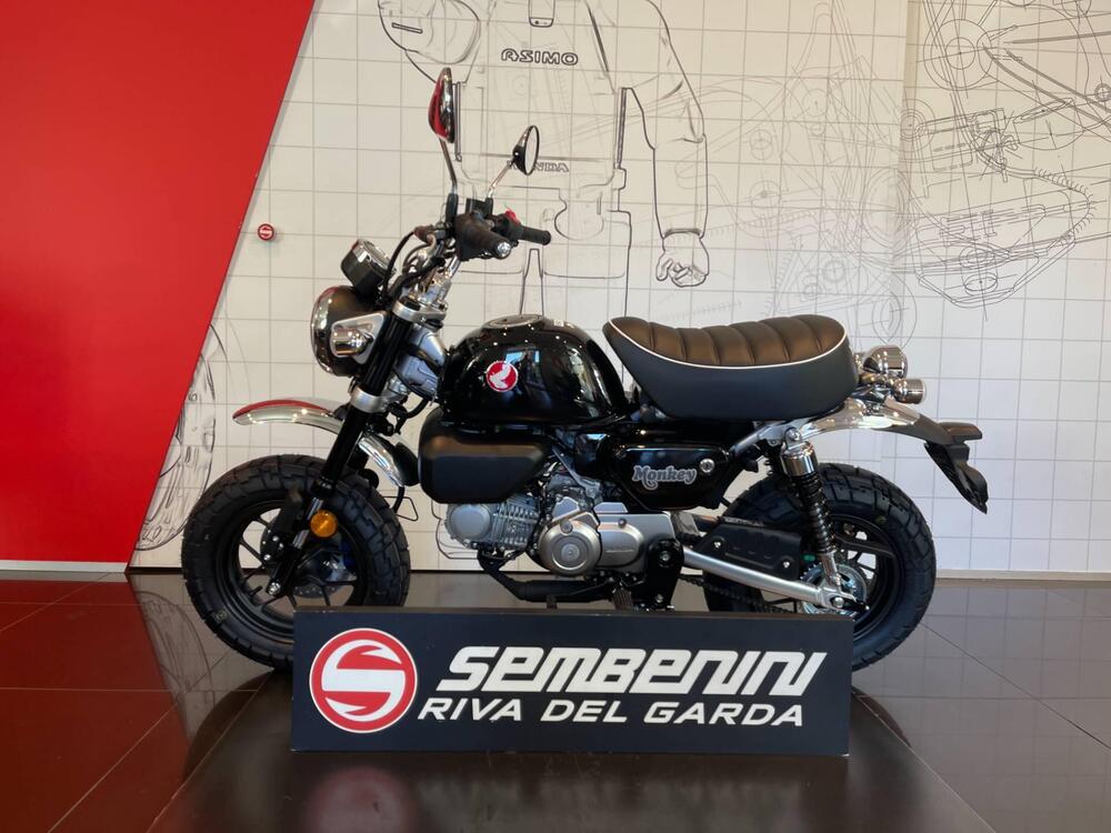 Honda Monkey 125 (2025) (5)