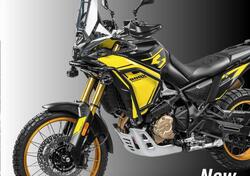 Voge Valico 800DSX Rally (2025) nuova