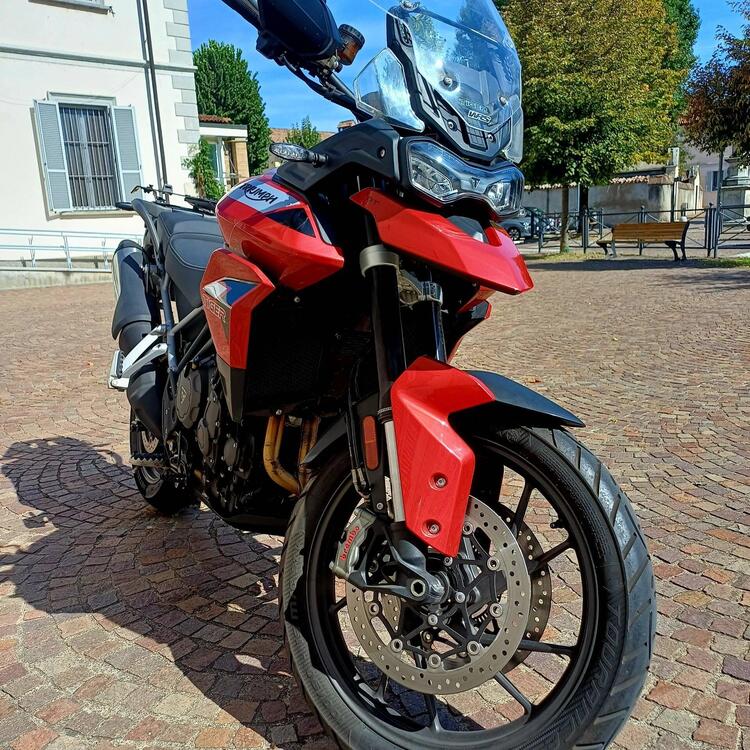 Triumph Tiger 900 GT (2020 - 23) (5)