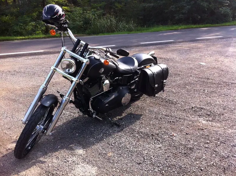 Harley-Davidson 1584 Wide Glide (2007 - 11) - FXDWG (5)