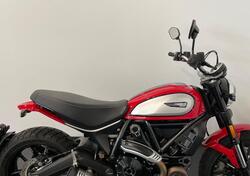 Ducati Scrambler 800 Icon (2021 - 22) usata