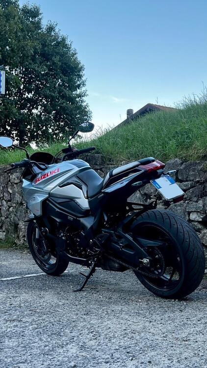 Suzuki Katana 1000 (2019 - 20) (2)