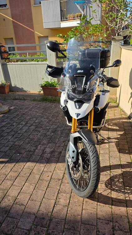 Triumph Tiger 900 Rally Pro (2020 - 23) (3)