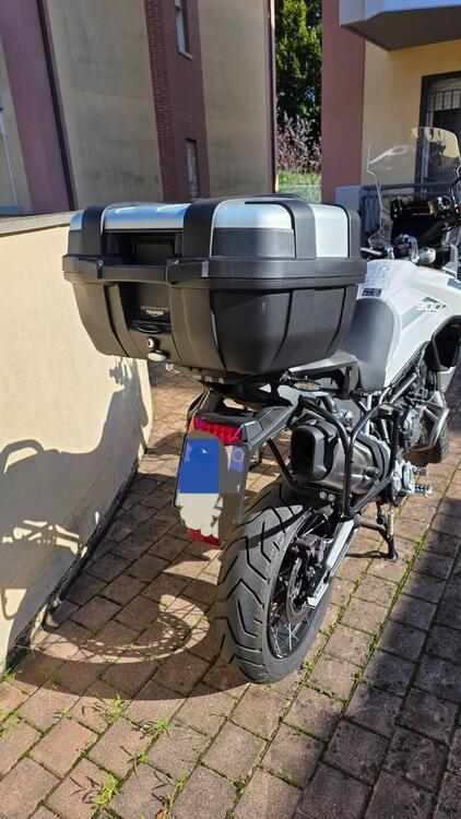 Triumph Tiger 900 Rally Pro (2020 - 23) (4)