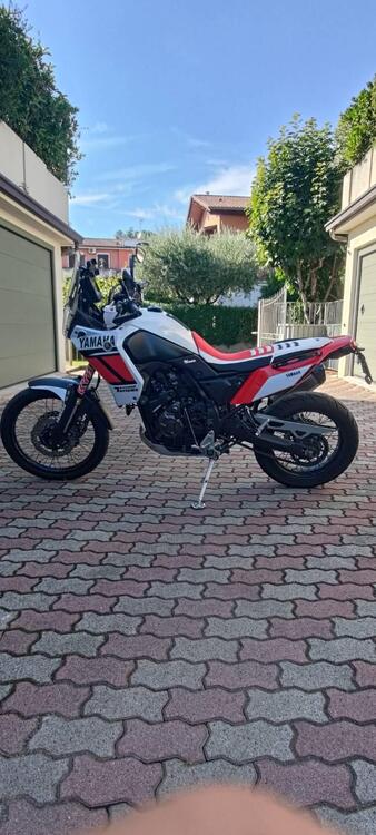 Yamaha Ténéré 700 Rally Edition (2020) (4)