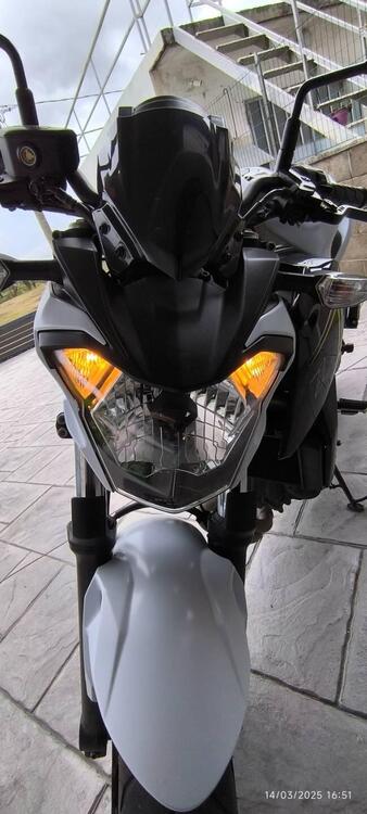 Kawasaki Z 650 (2017 - 19) (3)