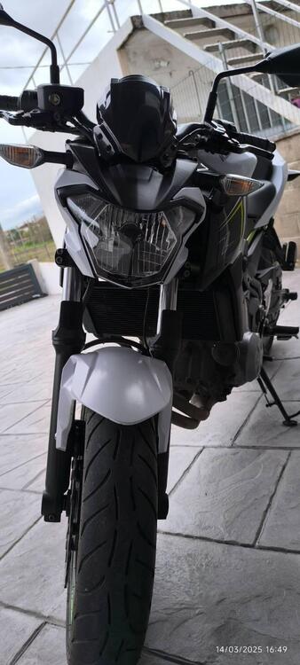 Kawasaki Z 650 (2017 - 19) (5)