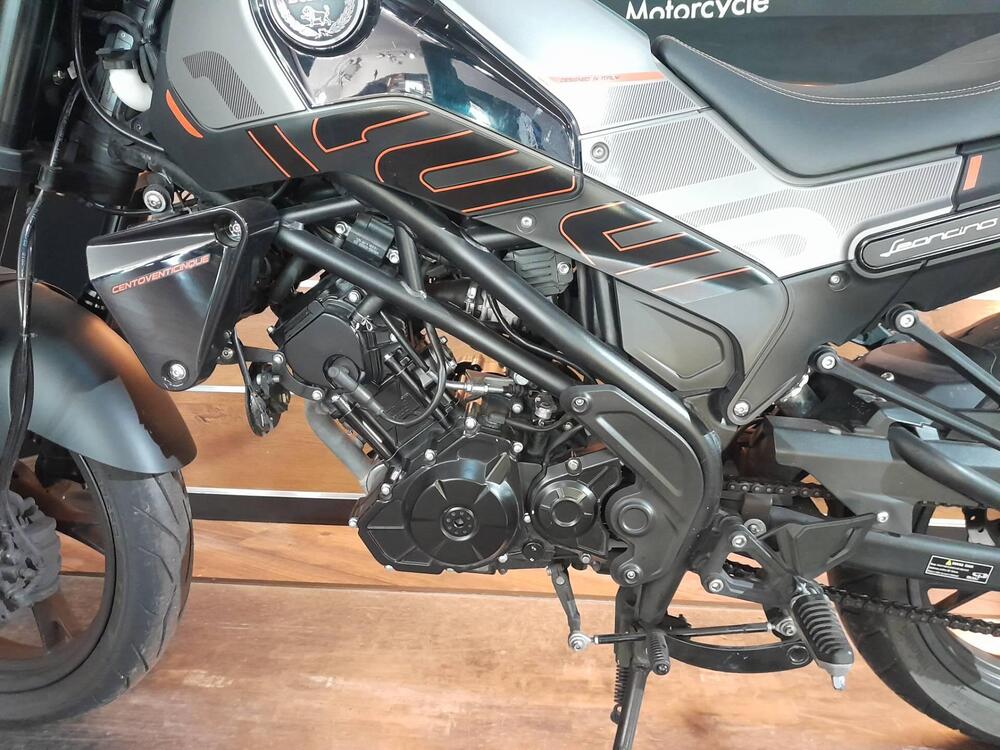 Benelli Leoncino 125 (2022 - 25) (3)