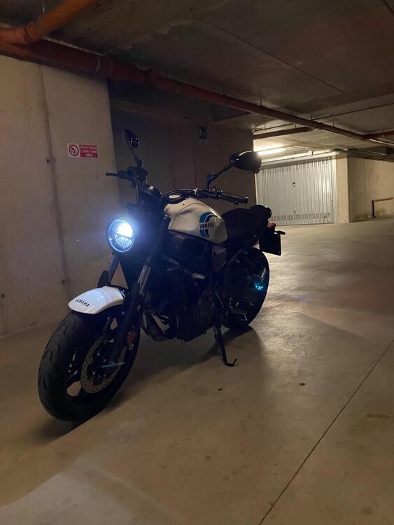 Yamaha XSR 700 (2022 - 25) (2)