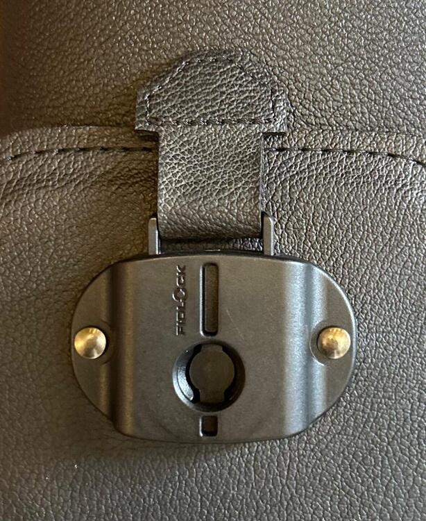 Borse laterali Roy Rebel Goose Royal Enfield (3)