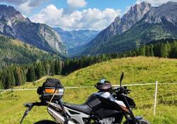 KTM 790 Duke (2018 - 20) usata