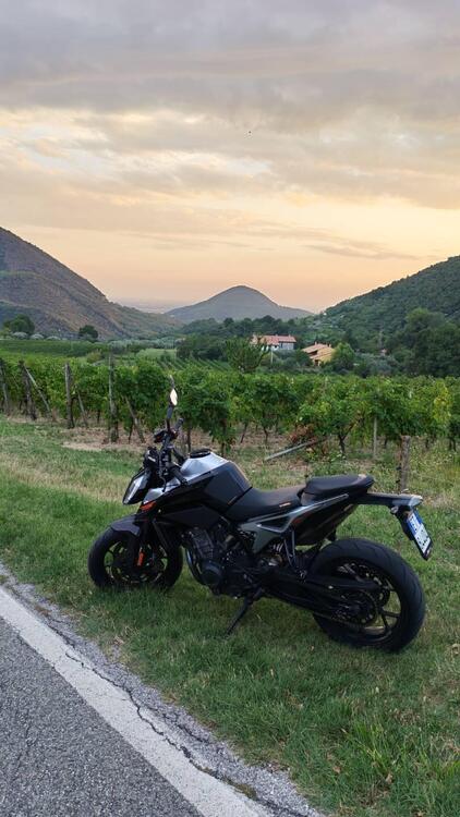 KTM 790 Duke (2018 - 20) (2)