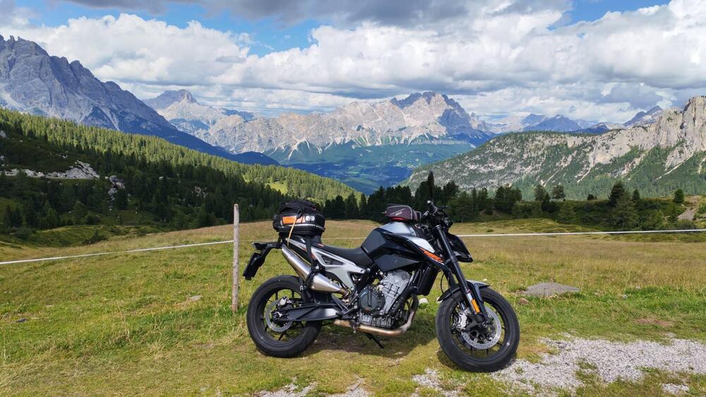 KTM 790 Duke (2018 - 20) (3)