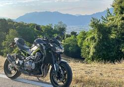 Kawasaki Z 900 (2017 - 18) usata