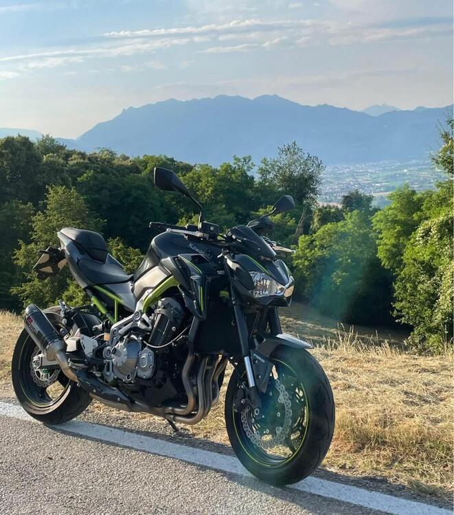 Kawasaki Z 900 (2017 - 18) (3)