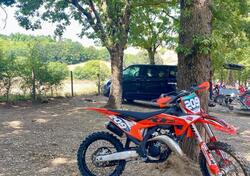 KTM 125 SX (2025) usata