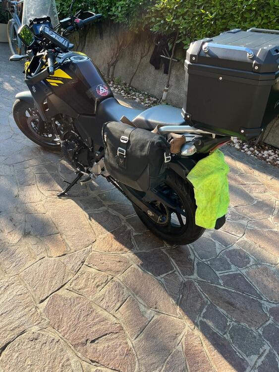 Suzuki V-Strom 250 (2017 - 20) (5)