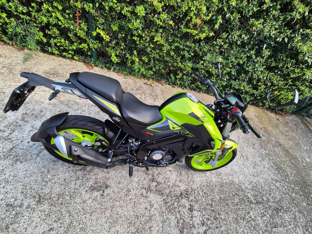 Keeway Motor RKF 125 (2021 - 24) (5)